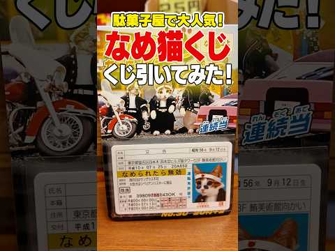 進化しすぎ】昭和の伝説「なめ猫」くじ。令和版の中身がツッコミどころ