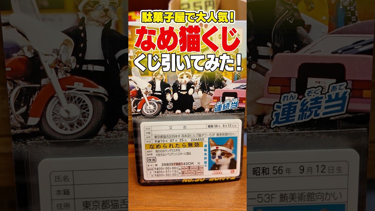 進化しすぎ】昭和の伝説「なめ猫」くじ。令和版の中身がツッコミどころ