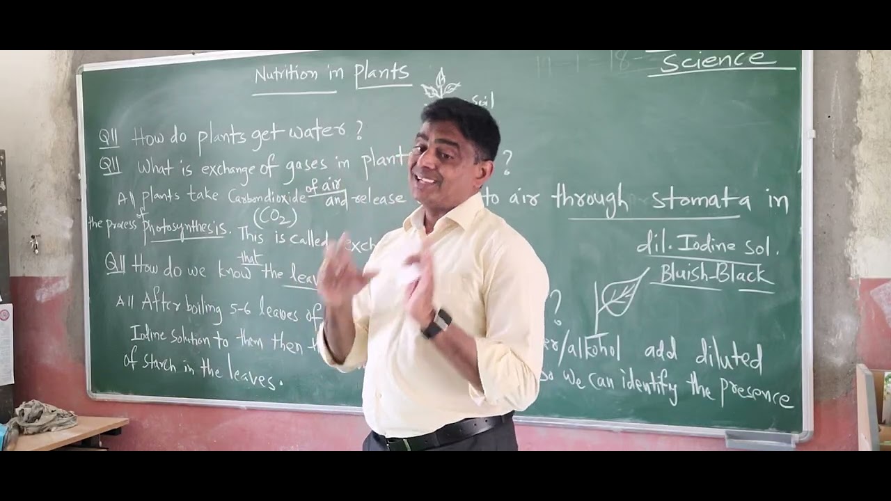 7th Science/ Nutrition in plants/starch identification.