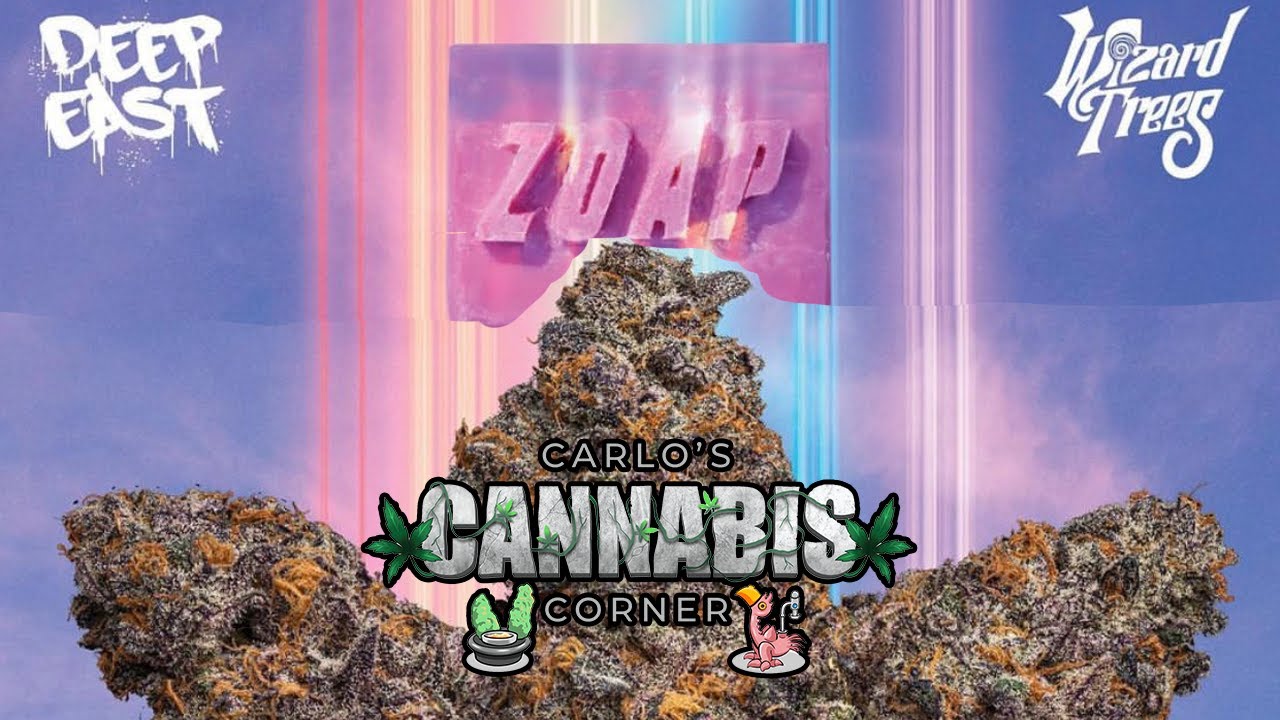 CCC Ep.37 Zoap By DeoFarms X Wizard Trees