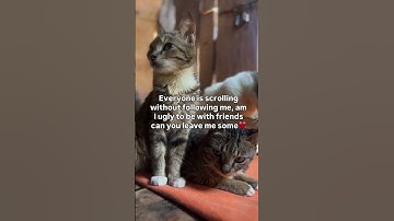 please donate via Link in bio for your help and support towards