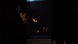 lg oled,RErequiem,max settings 4K HDR RTX5000