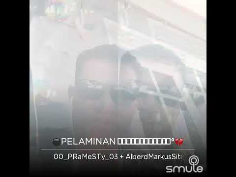 Kursi pelaminan biru