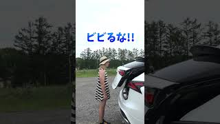 車のバックドアにギリギリ当たったらアウト #shorts