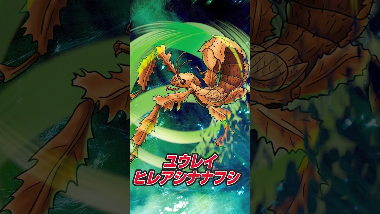 蟲神器　ゴクラクトリバネアゲハ　ユウレイヒレアシナナフシ 蟲神器】ユウレイヒレアシナナフシ(LR)の詳細【昆虫カード図鑑】