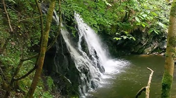 محمود الشحات سورة المنافقون