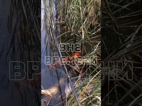 Дмитрий Маликов Вне времени DmitryMalikov