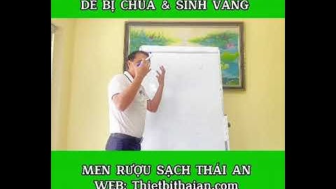 Tại Sao Cơm Rượu Mùa Hè Dễ Bị Chua & Sinh Váng? | Men Rượu Sạch Thái An | 0969 448 468