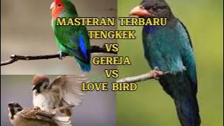 MANTUL MASTERAN TERBARU. Tengkek vs gereja vs love bird