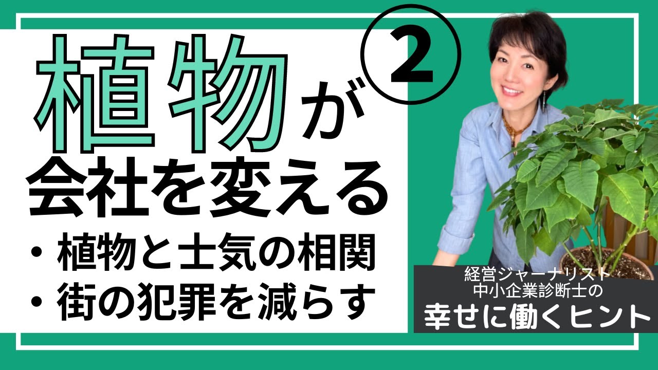 植物が会社を変える 後編 幸せに働き生きるヒント 59 Youtube 植物が会社を変える 後編 幸せに働き生きるヒント 59 Youtube