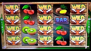 Coconut craze (Synot) slot machine bonus (Low-roll weekend)