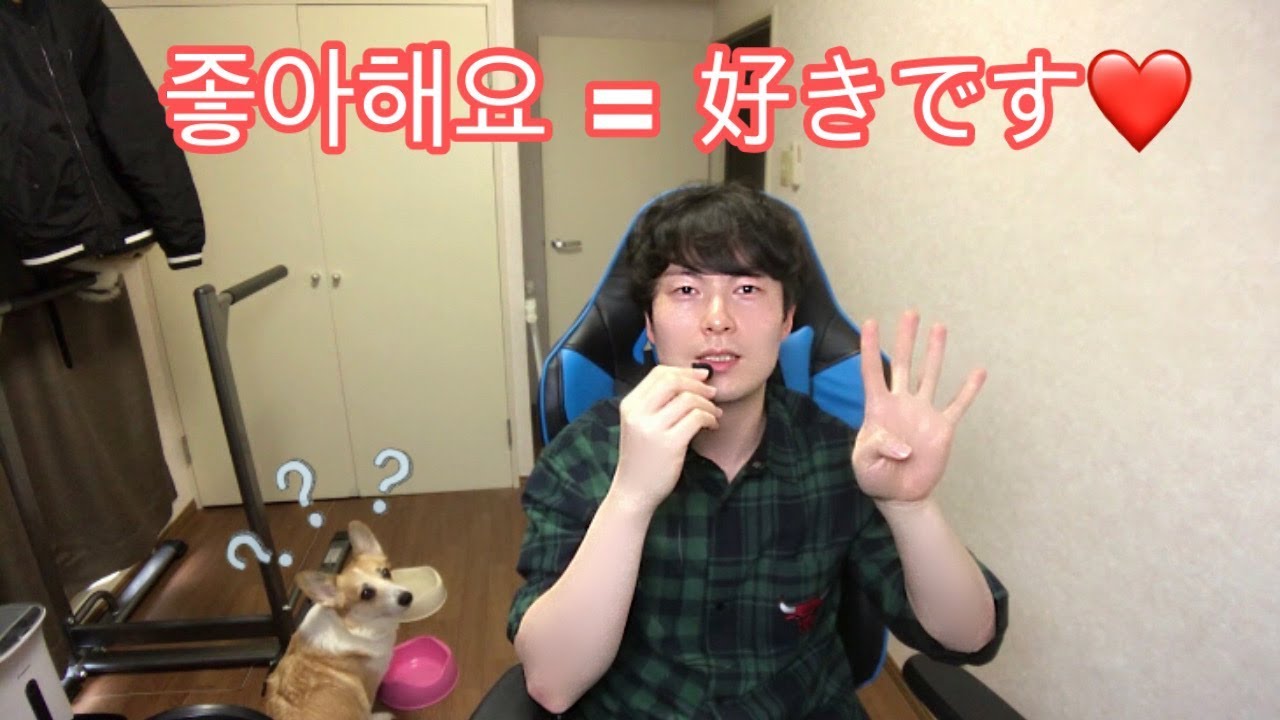 チョアヘヨ 発音 좋아해요 韓国語講座 初心者 Youtube チョアヘヨ 発音 좋아해요 韓国語講座 初心者 Youtube