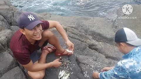 câu cá tại bán đảo sơn trà đà nẵng |THÀNH VLOG FC|