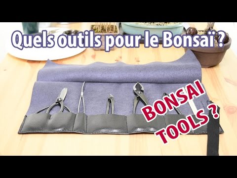Quels outils pour