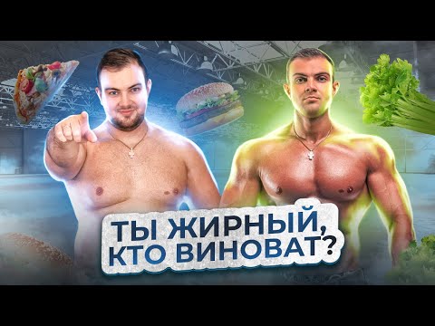 Кто виноват в том, что ты жирный!? История человеческого тела дает ответ