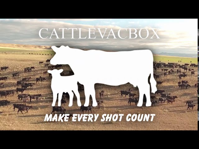 Animal Management, Livestock Vaccine Coolers - Strayhorn