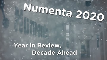 Numenta 2020: The Year in Review, The Decade Ahead