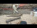 How to Make a Bulletproof Chicken Coop How to Make a Bulletproof Chicken Coop