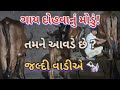 ગાય દોહવાનું મોડું થઈ ગયું 🐄⏰ જલ્દી વાડીએ દોડ! ખેડૂતની સવારની હકીકત | ગામડાનું જીવન