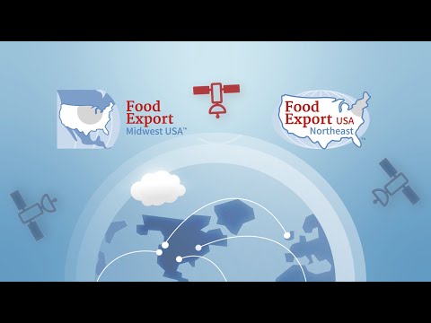 How the Branded Program Can Help You With International Digital Marketing Efforts