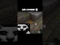 💀 Am I Cooked? Minecraft Moment Gone Wrong! 😂 #minecraft #shorts