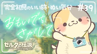 【ブレワイ】虹のように今日は逃げないで #39🍣いい旅・ぬい気分【ゼルダの伝説BotW/むぅたま VTuber】