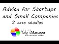 Advice for Startups and Small Companies