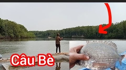 Câu Cá Tráp và Cá Nâu Bè Long Thọ với Cần Thủ Nữ || Đam mê câu cá