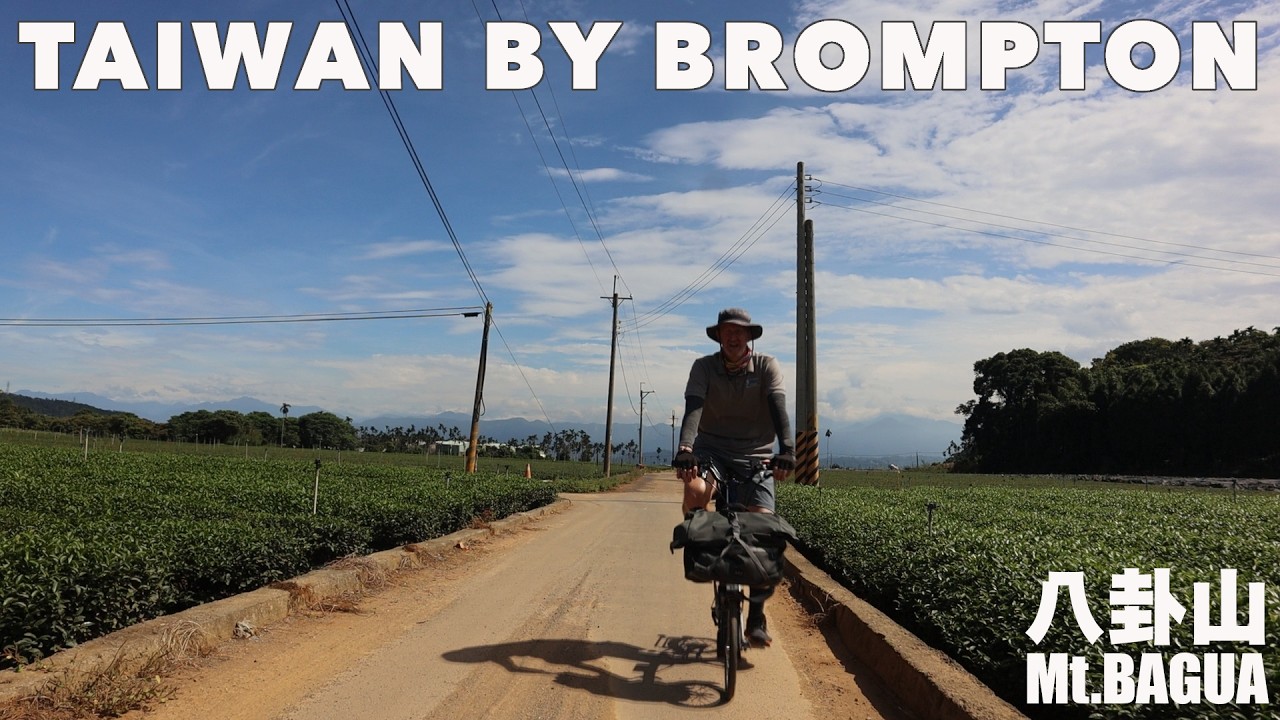 Исследование багуашань на велосипеде — Войны ананасовых тортов + Последний оплот «Демократической...