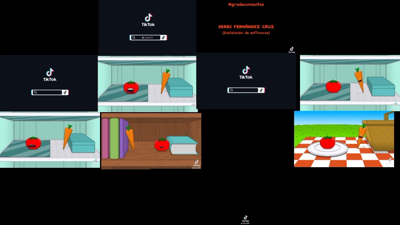 13 Of T&Z episodes Played at once