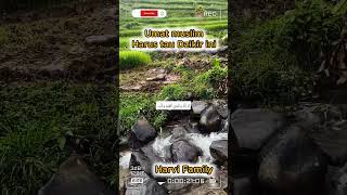 Muslims Must Know This Dhikr harvifamily selfreminder shorts shorts shortsfeed