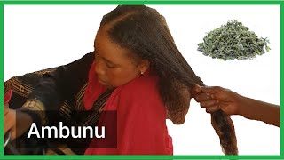 Ambunu: African herbal shampoo for moisture and detangling natural hair