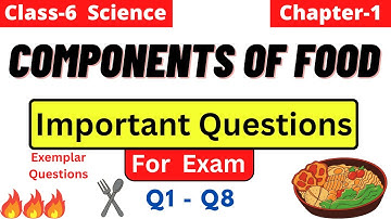 Components of Food | Class 6 Science Chapter 1 Important Questions for Exam | Exemplar questions
