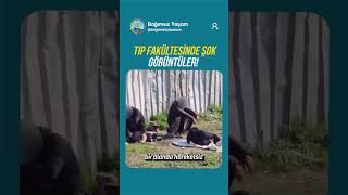 Bağımlılık Sessizce Ve Sinsice Topluma Karışıyor.