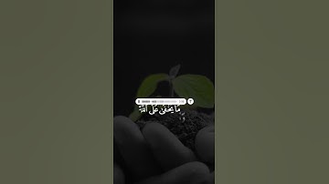 ربنا انك تعلم ما نخفي وما نعلن - القارئ سلمان العتيبي
