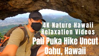 4K Pali Puka Hike COMPLETE and UNCUT - Oahu, Hawaii - 4K Nature Hawaii