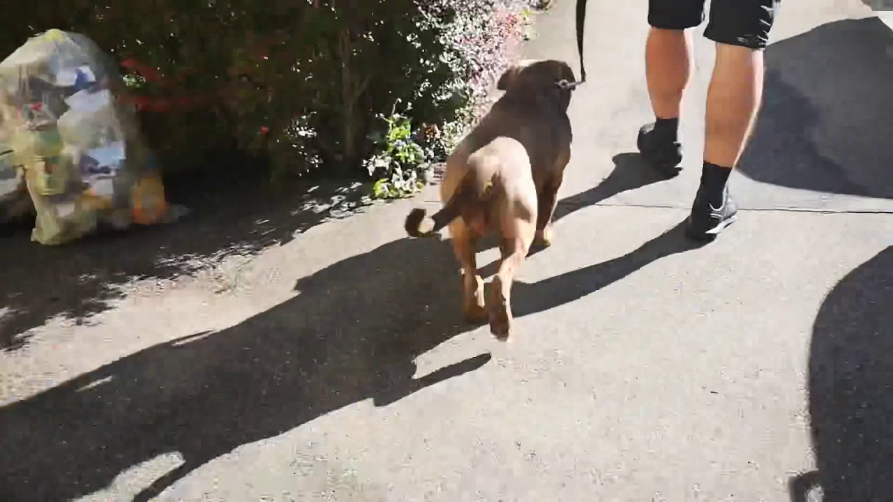 Drehtag beim Dekofux!