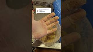 Gloves are making your food LESS safe!👀