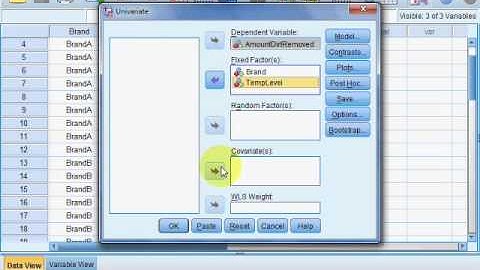 Two Way ANOVA using spss