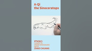 Close Up Head Drawing of Sinoceratops #pnso #howtodraw #zhaochuang #dinosaurs #drawing