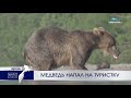 Медведь напал на туристку | Новости Камчатки | Происшествия | Масс Медиа