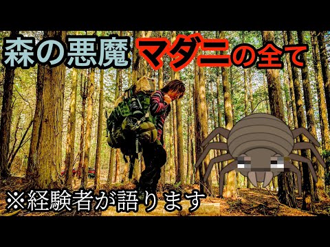 マダニに注意！キャンプに潜む危険生物！！【夏キャンプ】