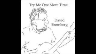 Video thumbnail of "David Bromberg - Try Me One More Time"