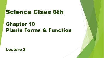 Science Class 6 | Chapter 10 (Lecture 1) | Plants Forms & Function