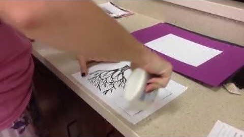 Cross Hatch Tree - glue the background