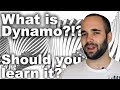 What is dynamo and why should you learn it