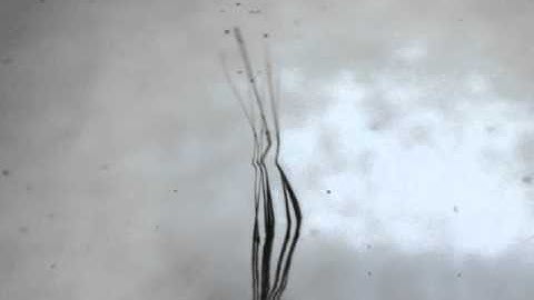 Ultra-flexible nanoscale brain probes