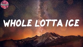 Whole Lotta Ice (Lyrics) - BigWalkDog
