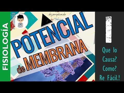 Vídeo: Quin és el quizlet de potencial de membrana en repòs?
