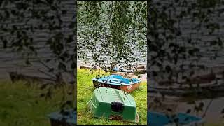 Some Calm ..Tamer Aashour